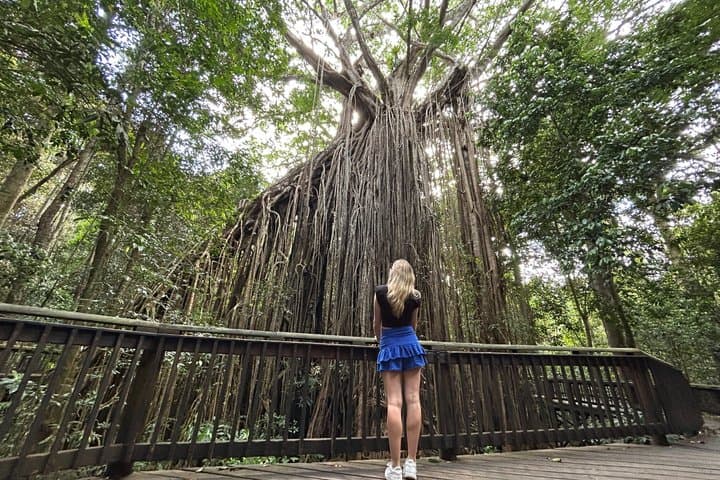 Paronella Park and Millaa Millaa Falls Full-day Tour from Cairns