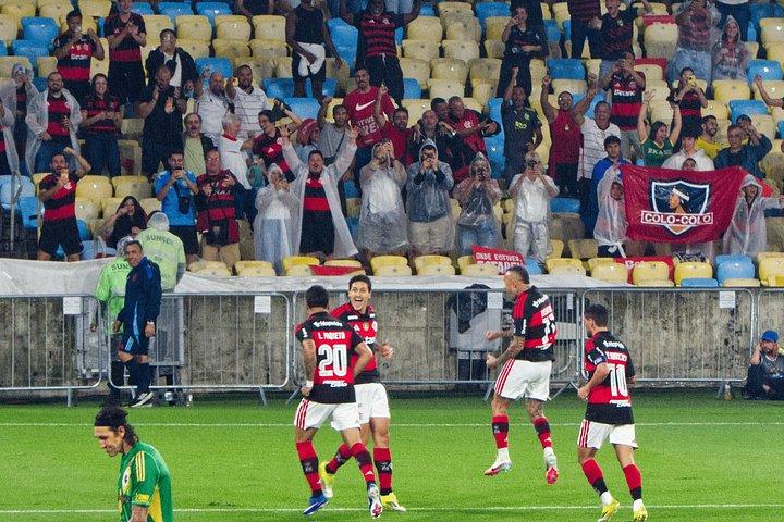 マラカナンスタジアムでのサッカー観戦（チケット、ガイド、送迎込み）