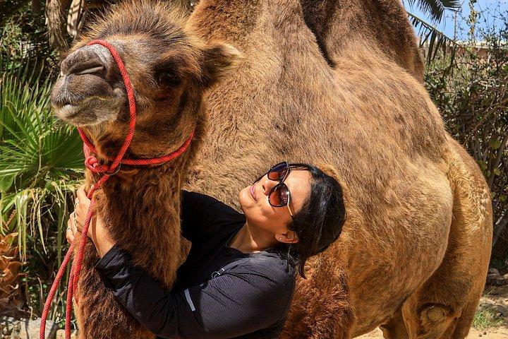 ATV Ride and Camel Experience A Double Adventure