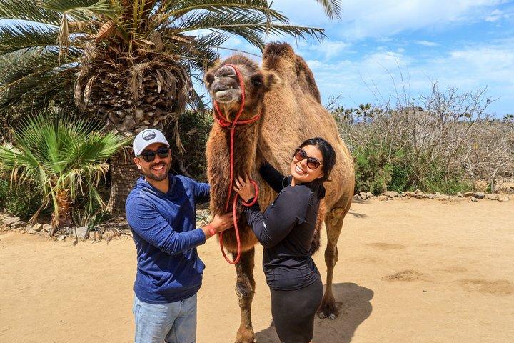 ATV Ride & Camel Experience: A Double Adventure