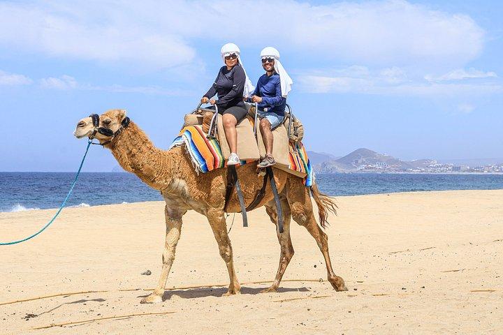 ATV Ride and Camel Experience A Double Adventure