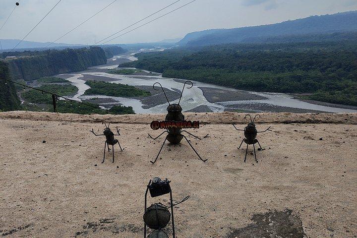 1 - Day Jungle Tour to Puyo