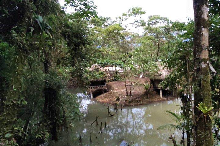 1 - Day Jungle Tour to Puyo
