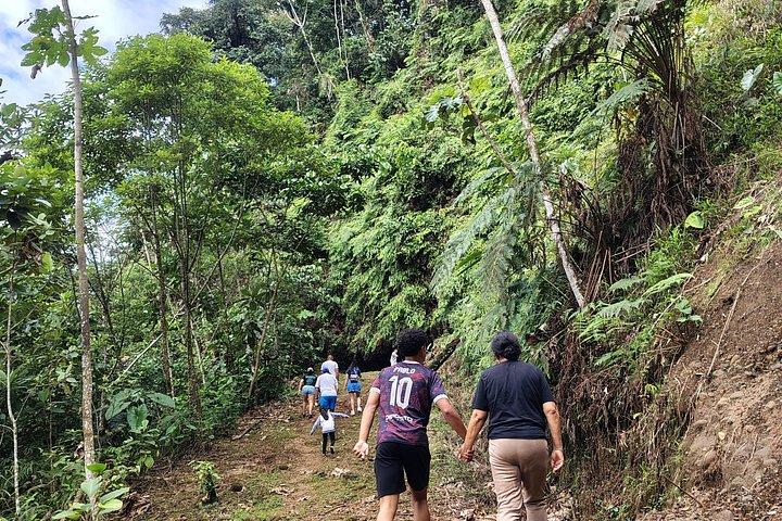 1 - Day Jungle Tour to Puyo
