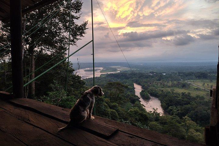 1 - Day Jungle Tour to Puyo