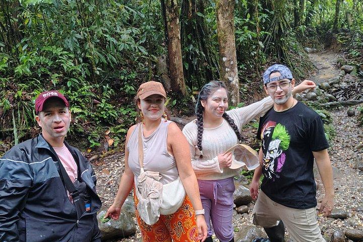 1 - Day Jungle Tour to Puyo