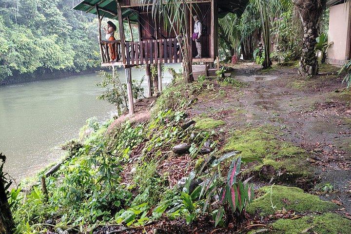 1 - Day Jungle Tour to Puyo