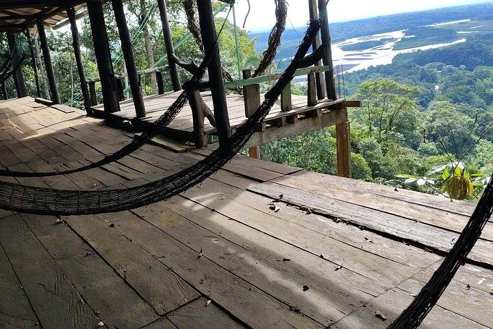 1 - Day Jungle Tour to Puyo