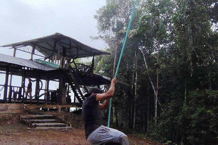 1 - Day Jungle Tour to Puyo