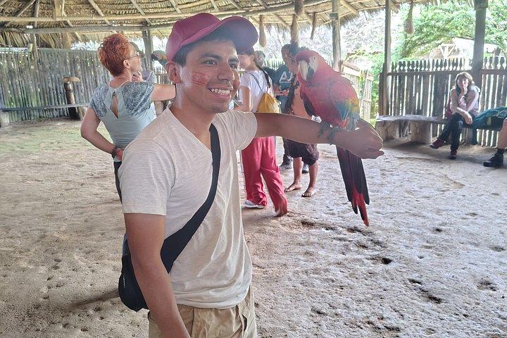 1 - Day Jungle Tour to Puyo