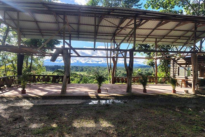 1 - Day Jungle Tour to Puyo