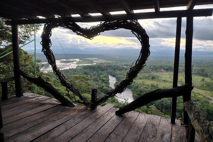 1 - Day Jungle Tour to Puyo