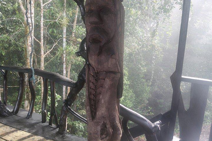1 - Day Jungle Tour to Puyo