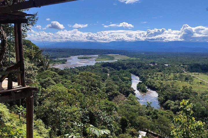 1 - Day Jungle Tour to Puyo
