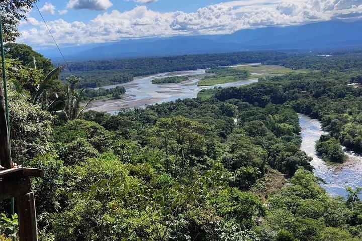 1 - Day Jungle Tour to Puyo