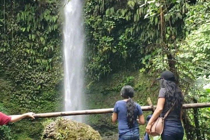 1 - Day Jungle Tour to Puyo