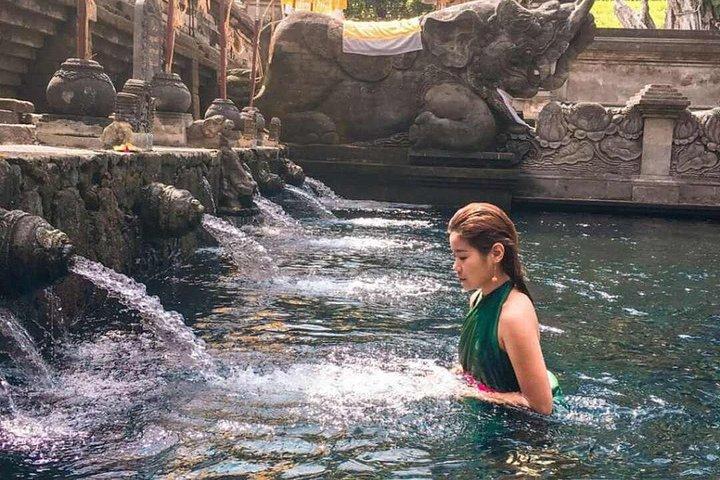 Cascate di Ubud, Tempio dell'Acqua e Terrazza di Riso - Tour Privato