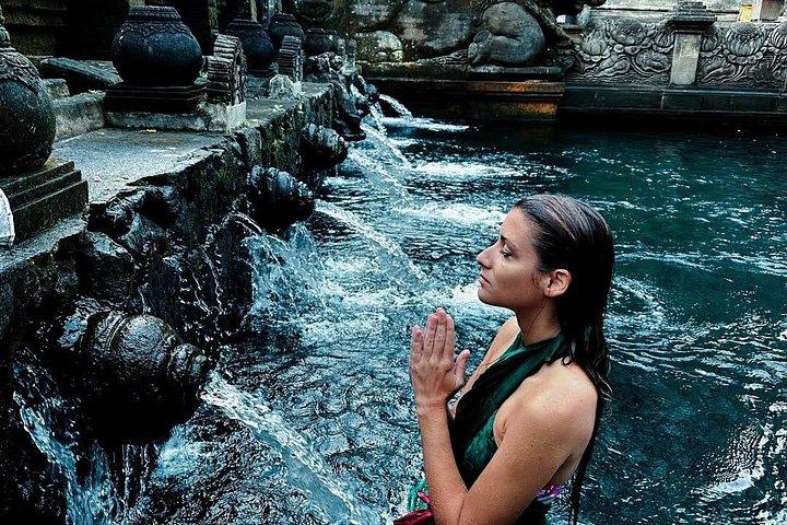 Cascate di Ubud, Tempio dell'Acqua e Terrazza di Riso - Tour Privato
