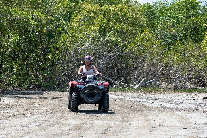 ジャマイカでの乗馬、ATV、ブルーホール滝ツアー