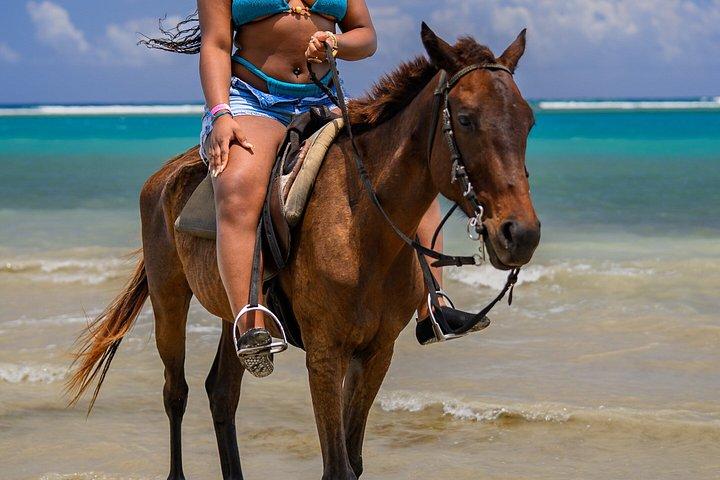 ジャマイカでの乗馬アドベンチャー
