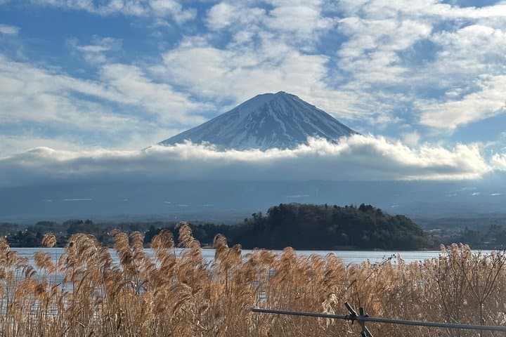 Mt. Fuji & Hakone Private Day Tour with English-Speaking Driver