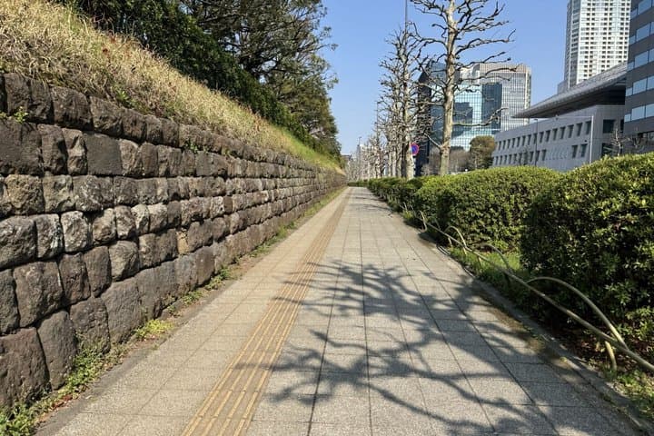 Tokyo Guided E-Bike Tour Hidden Streets and Local Neighborhoods