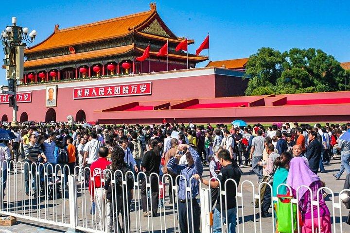 小グループの北京、西安、成都、上海への11日間の中国ツアー