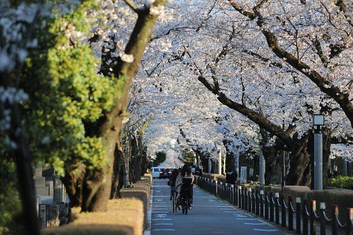 東京ガイド付きE-バイクツアー 隠れた通りや近所の様子