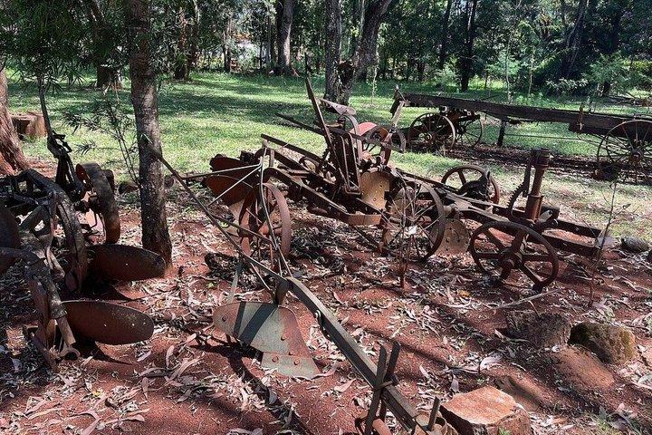 Nairobi : Museo Karen Blixen, Giraffe Center e tour delle perle di Kobe