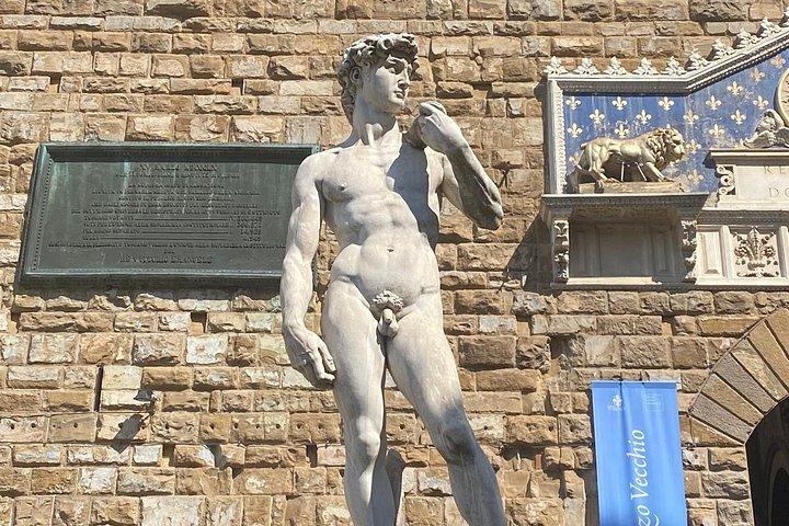 ローマからフィレンツェへのプライベート日帰り旅行（運転手付き）