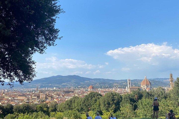 ローマからフィレンツェへのプライベート日帰り旅行（運転手付き）