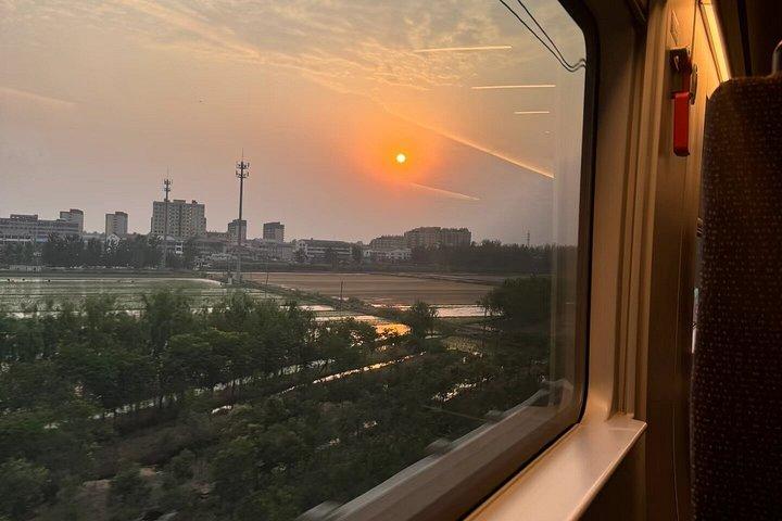 成都プライベート日帰りツアー：パンダと楽山大仏を列車で巡る