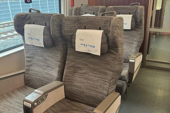 成都プライベート日帰りツアー：パンダと楽山大仏を列車で巡る