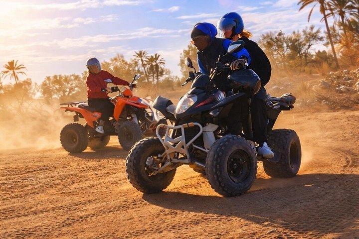90 分のクワッド ツアー ジェルバ島東メズラヤ、ギゼン シディ マフレズ