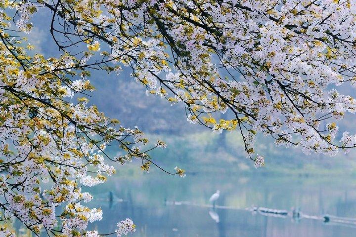 Hangzhou Private & ekspert guide service