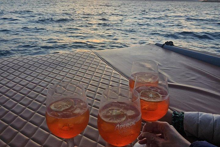 クロアチアのブルー ラグーン島半日プライベート ツアー