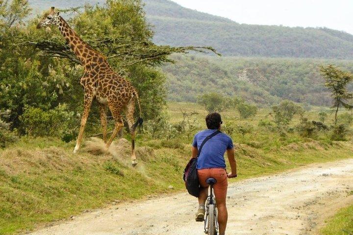 Tour di 2 giorni a Hell's Gate Naivasha e Crescent Island