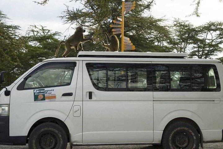 Excursion d'une journée à Naivasha au départ de Nairobi
