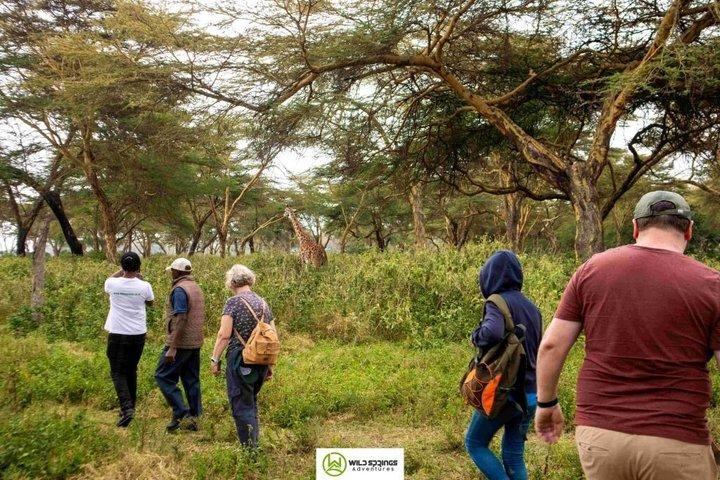 Nairobi to Crescent Island Walking Safari and Lake Naivasha