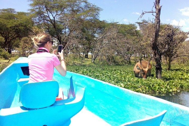Nairobi to Crescent Island Walking Safari and Lake Naivasha