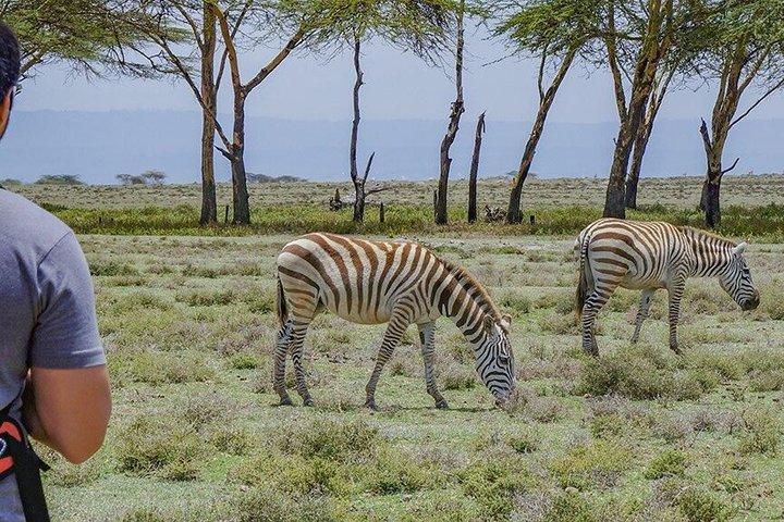 Nairobi to Crescent Island Walking Safari and Lake Naivasha