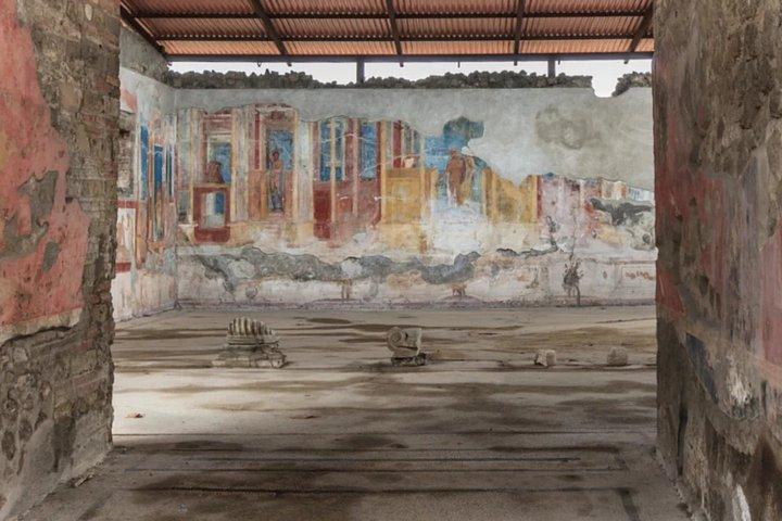 Private Pompeii and Vesuvius Day Trip from Rome