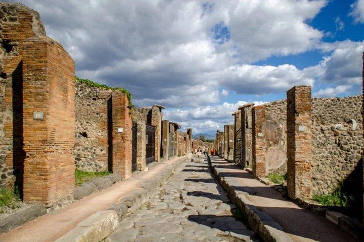 Private Pompeii and Vesuvius Day Trip from Rome