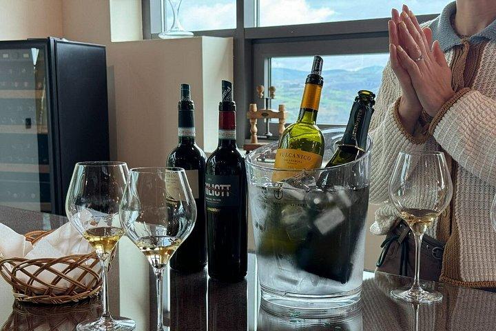 Basilicata Winery Tour and Aglianico Wine Tasting in Barile