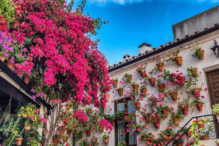 Guided Cordoba Tour with Mosque-Cathedral Access from Malaga