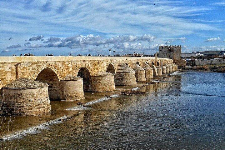 Guided Cordoba Tour with Mosque-Cathedral Access from Malaga