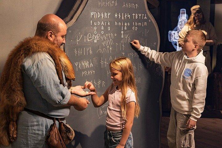 Entreeticket voor het Vikingmuseum