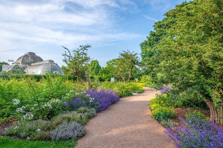 Billet d'entrée aux Kew Gardens