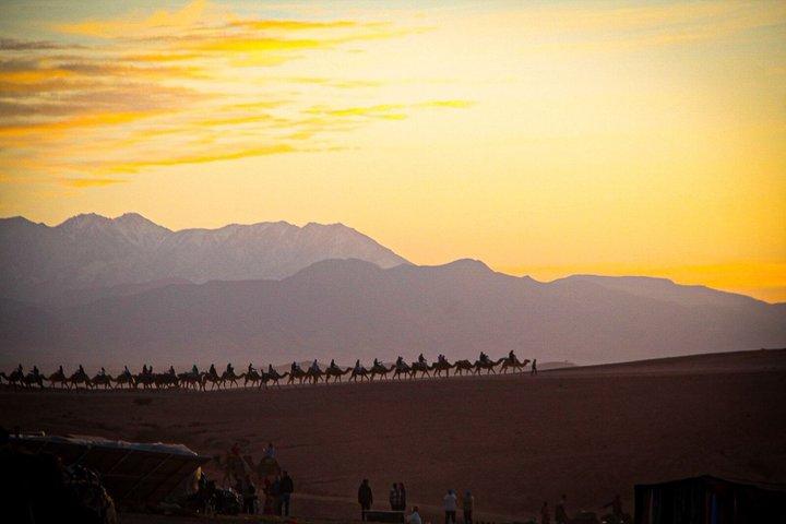Agafay Desert Camel Ride with Dinner and Fire Show from Marrakech