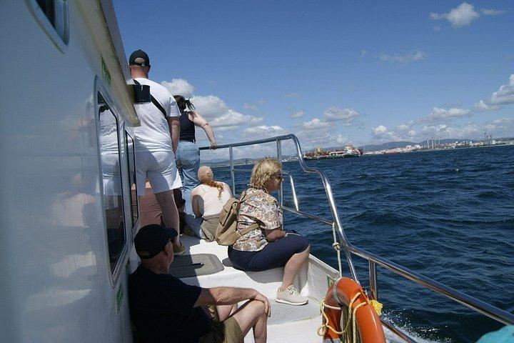 Excursion à Gibraltar et observation des dauphins au départ de Malaga